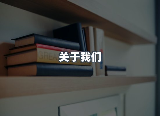 关于我们